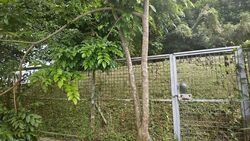 Jalan Kebaya (D10), Terrace #625698041